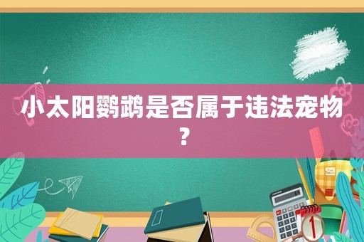 小太陽鸚鵡是否屬于違法寵物？