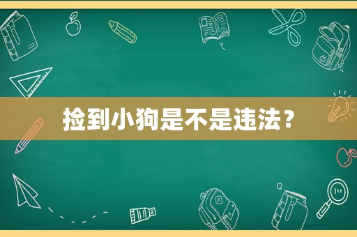 撿到小狗是不是違法？
