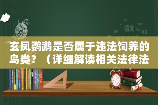 玄鳳鸚鵡是否屬于違法飼養的鳥類？（詳細解讀相關法律法規）