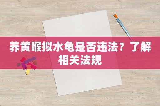 養黃喉擬水龜是否違法？了解相關法規