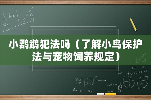 小鸚鵡犯法嗎（了解小鳥保護(hù)法與寵物飼養(yǎng)規(guī)定）