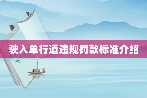 駛入單行道違規罰款標準介紹