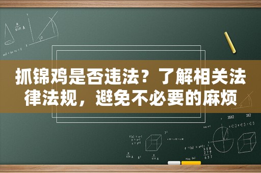 抓錦雞是否違法？了解相關法律法規，避免不必要的麻煩