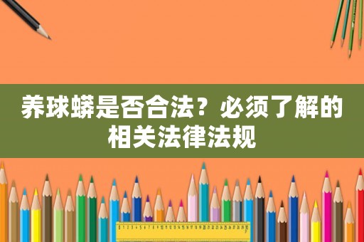 養球蟒是否合法？必須了解的相關法律法規