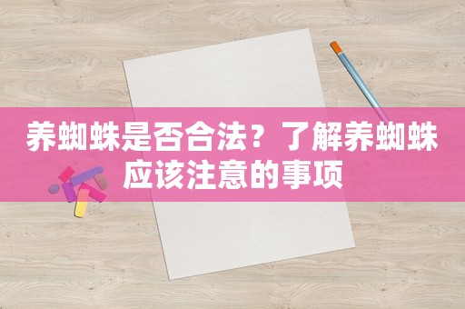 養蜘蛛是否合法？了解養蜘蛛應該注意的事項