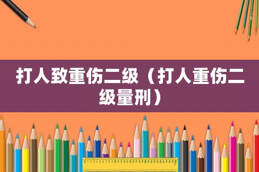打人致重傷二級（打人重傷二級量刑）