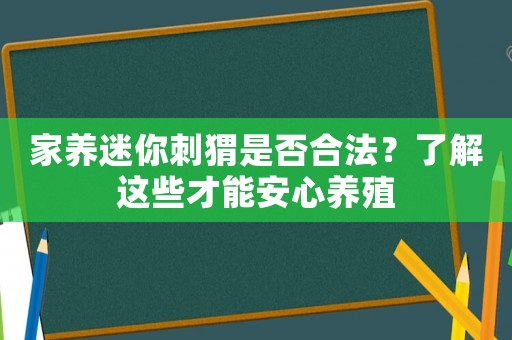 家養迷你刺猬是否合法？了解這些才能安心養殖