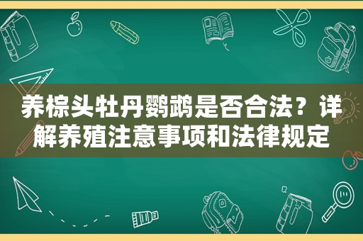 養棕頭牡丹鸚鵡是否合法？詳解養殖注意事項和法律規定