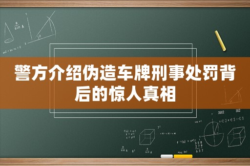 警方介紹偽造車牌刑事處罰背后的驚人真相