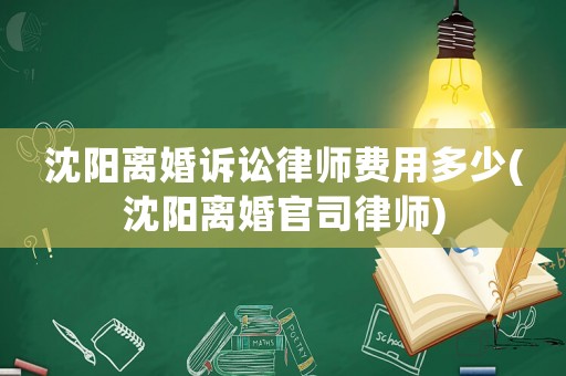 沈陽離婚訴訟律師費用多少(沈陽離婚官司律師)