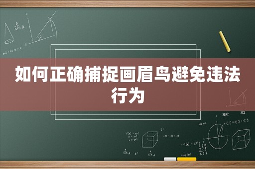 如何正確捕捉畫眉鳥避免違法行為