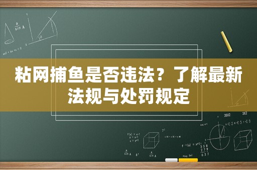 粘網捕魚是否違法？了解最新法規與處罰規定