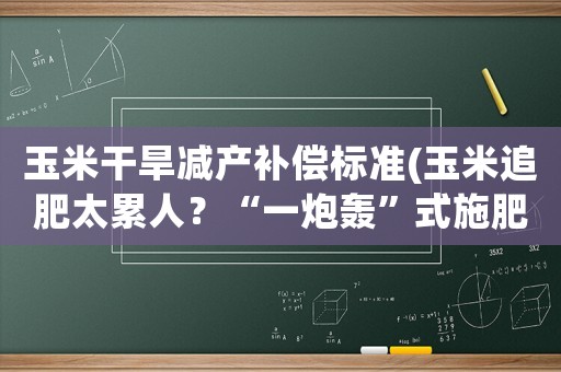 玉米干旱減產補償標準(玉米追肥太累人？“一炮轟”式施肥會造成玉米減產嗎？)