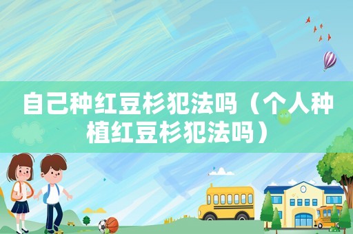 自己種紅豆杉犯法嗎（個人種植紅豆杉犯法嗎）