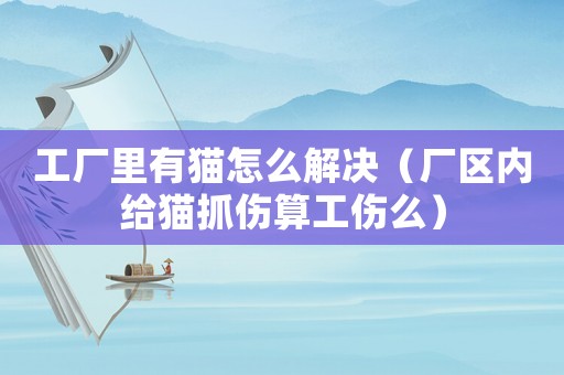 工廠里有貓怎么解決（廠區內給貓抓傷算工傷么）