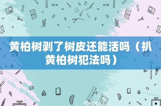 黃柏樹剝了樹皮還能活嗎（扒黃柏樹犯法嗎）