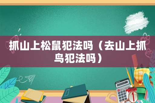 抓山上松鼠犯法嗎（去山上抓鳥犯法嗎）