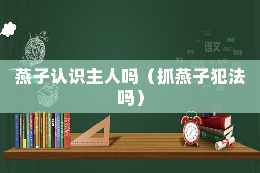 燕子認識主人嗎（抓燕子犯法嗎）