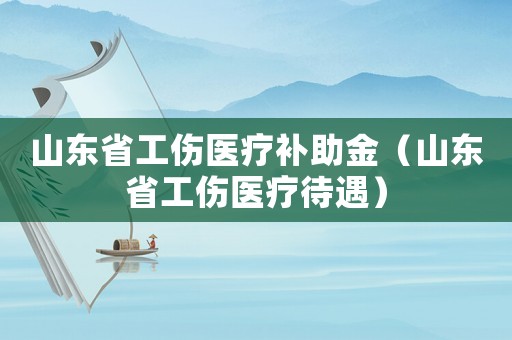 山東省工傷醫(yī)療補(bǔ)助金（山東省工傷醫(yī)療待遇）