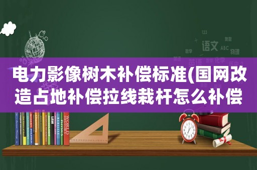 電力影像樹木補償標準(國網改造占地補償拉線栽桿怎么補償？)