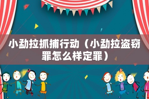 小勐拉抓捕行動(dòng)（小勐拉盜竊罪怎么樣定罪）