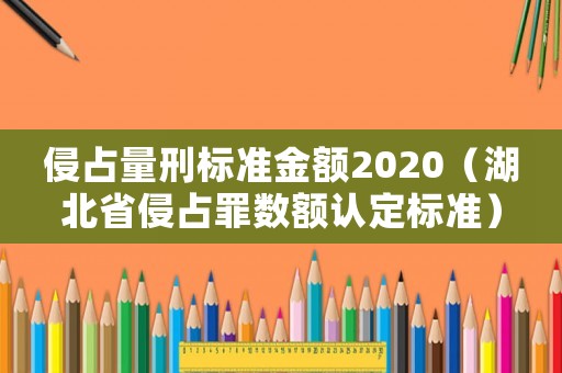 侵占量刑標準金額2020（湖北省侵占罪數額認定標準）