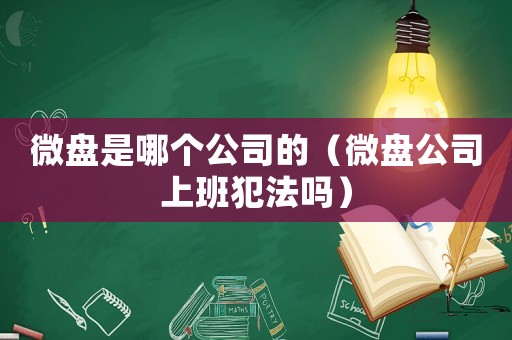 微盤是哪個公司的（微盤公司上班犯法嗎）