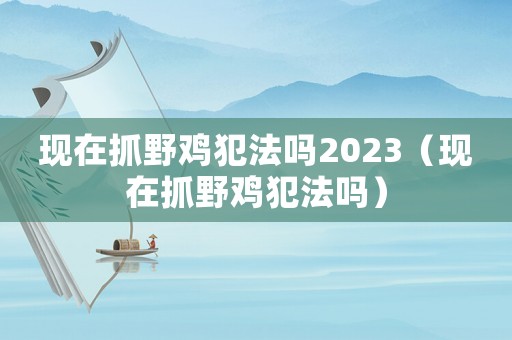 現(xiàn)在抓野雞犯法嗎2023（現(xiàn)在抓野雞犯法嗎）