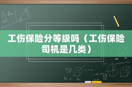 工傷保險分等級嗎（工傷保險司機是幾類）