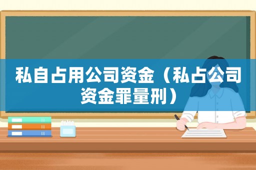 私自占用公司資金（私占公司資金罪量刑）