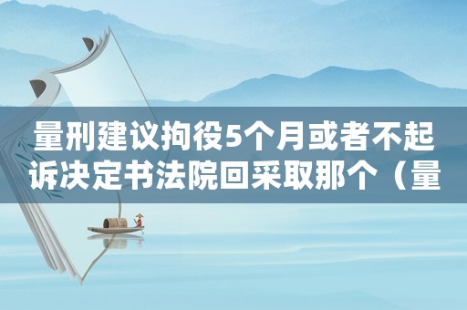 量刑建議拘役5個月或者不起訴決定書法院回采取那個（量刑建議拘役）