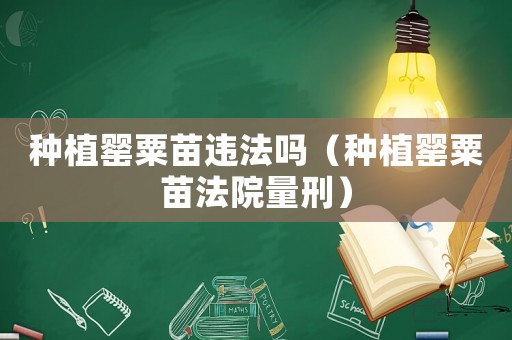 種植罌粟苗違法嗎（種植罌粟苗法院量刑）