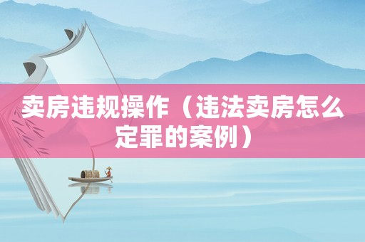 賣房違規操作（違法賣房怎么定罪的案例）
