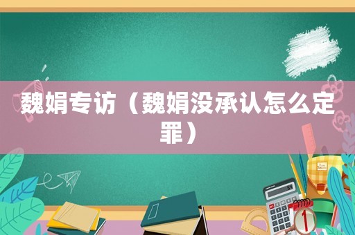 魏娟專訪（魏娟沒承認(rèn)怎么定罪）