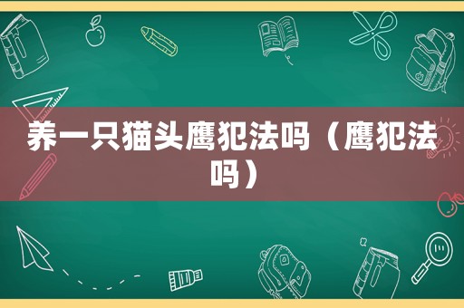 養一只貓頭鷹犯法嗎（鷹犯法嗎）