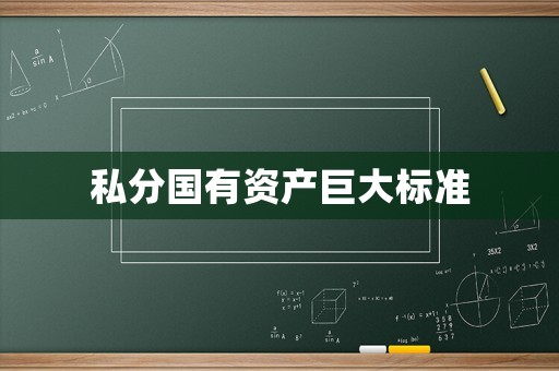 私分國(guó)有資產(chǎn)巨大標(biāo)準(zhǔn)