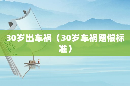 30歲出車禍（30歲車禍賠償標準）