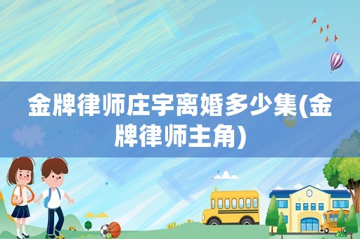 金牌律師莊宇離婚多少集(金牌律師主角)