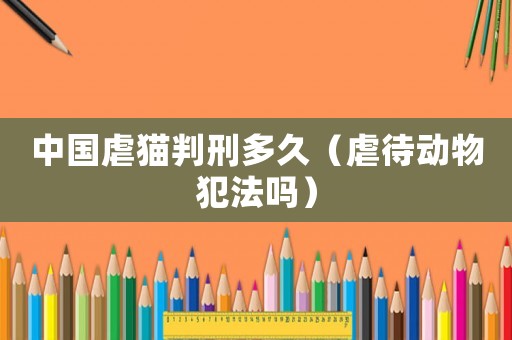 中國虐貓判刑多久（虐待動物犯法嗎）