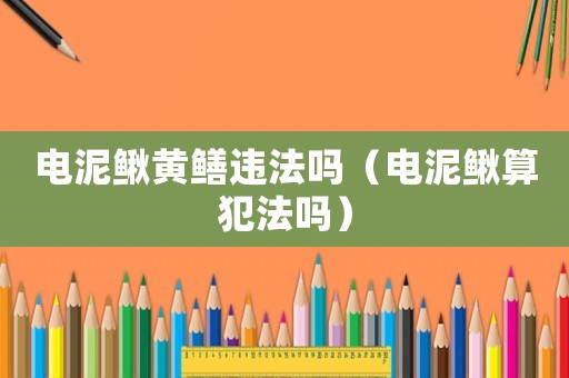 電泥鰍黃鱔違法嗎（電泥鰍算犯法嗎）