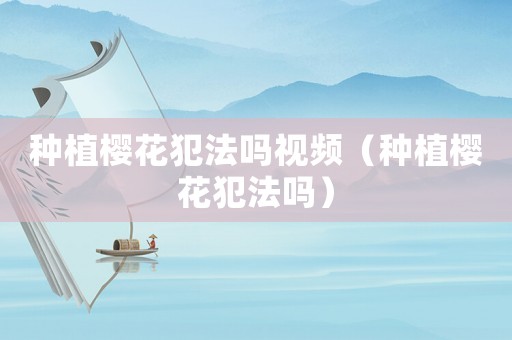 種植櫻花犯法嗎視頻（種植櫻花犯法嗎）