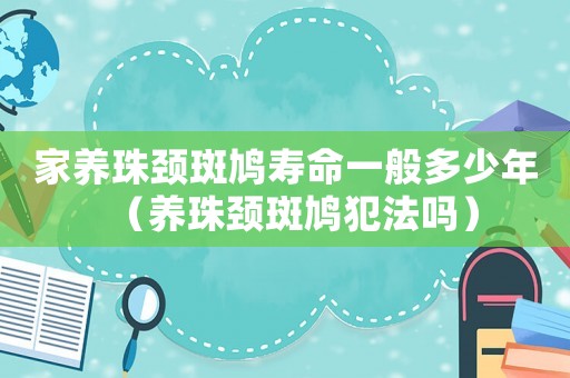 家養(yǎng)珠頸斑鳩壽命一般多少年（養(yǎng)珠頸斑鳩犯法嗎）