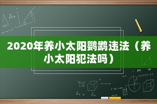 2020年養(yǎng)小太陽(yáng)鸚鵡違法（養(yǎng)小太陽(yáng)犯法嗎）