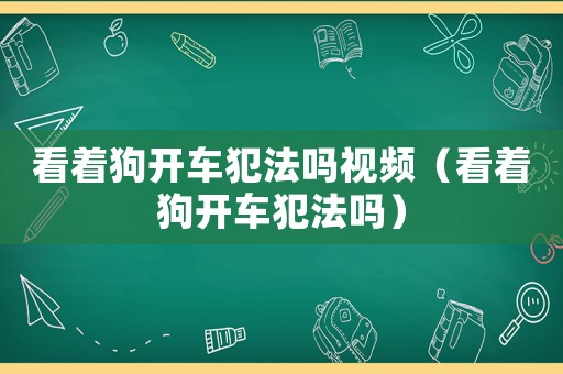 看著狗開車犯法嗎視頻（看著狗開車犯法嗎）