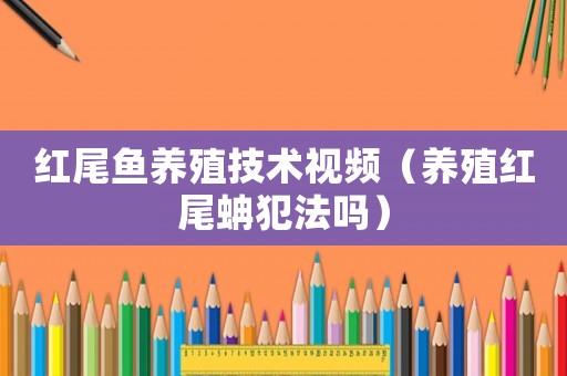 紅尾魚養殖技術視頻（養殖紅尾蚺犯法嗎）