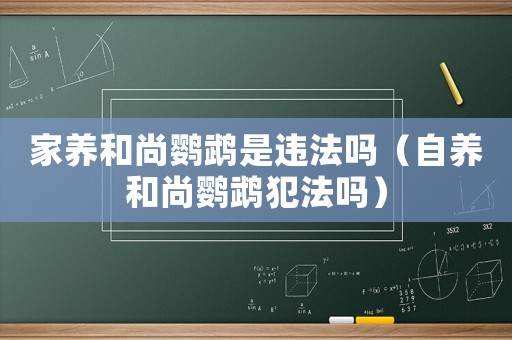 家養和尚鸚鵡是違法嗎（自養和尚鸚鵡犯法嗎）