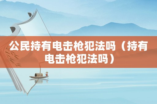 公民持有電擊槍犯法嗎（持有電擊槍犯法嗎）