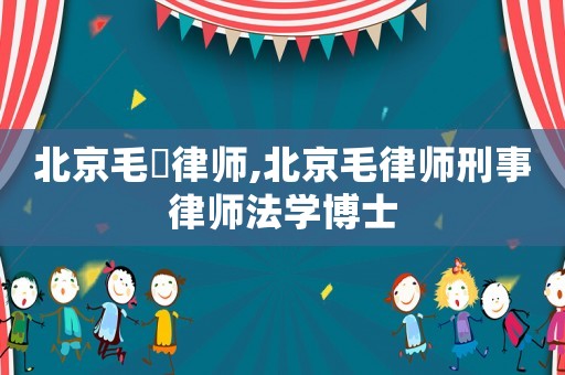 北京毛琎律師,北京毛律師刑事律師法學(xué)博士
