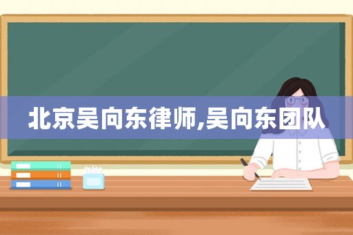 北京吳向東律師,吳向東團隊