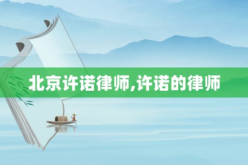 北京許諾律師,許諾的律師